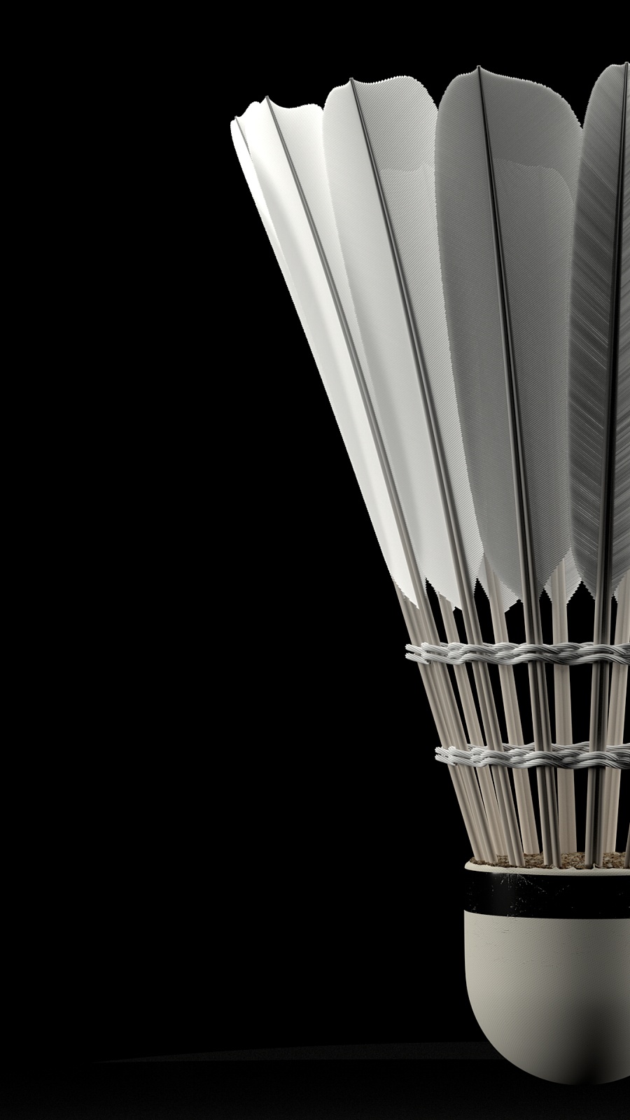 也与队伍分 也与队伍分